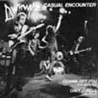 The Divinyls : Casual Encounter